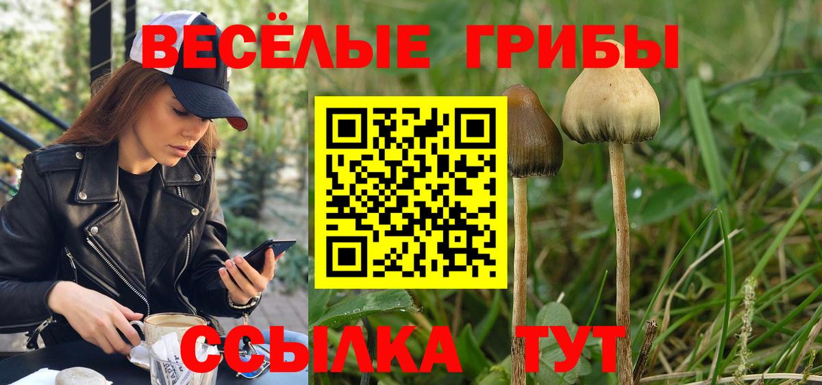 Галлюциногенные грибы Cubensis Южноуральск